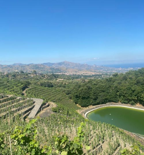 etna-winery-7